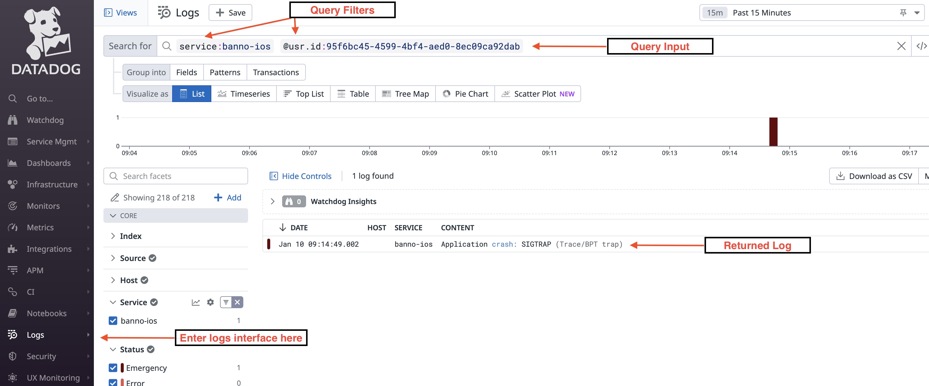 DataDog Query Example
